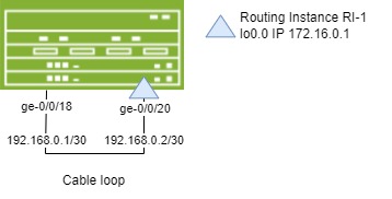 looped cable from port 18 to port 20 to get connectivity with a routing instance RI-1.